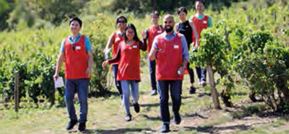 SE-TeamBulding1 SE-TeamBulding1